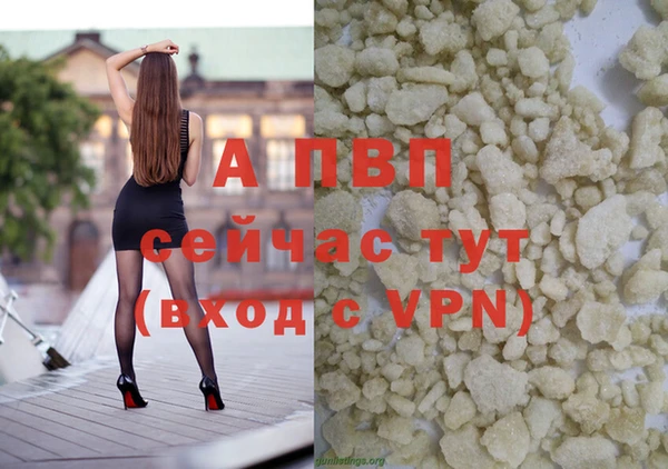 индика Белокуриха
