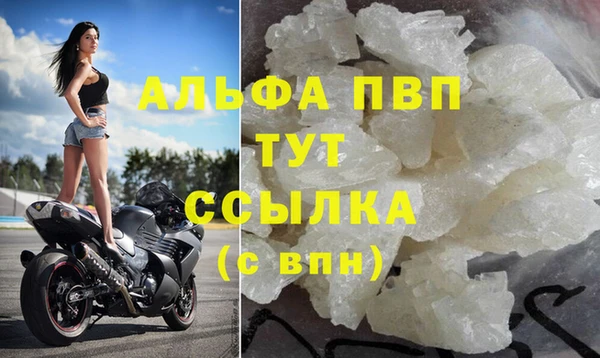индика Белокуриха
