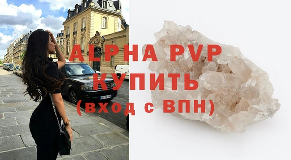 индика Белокуриха
